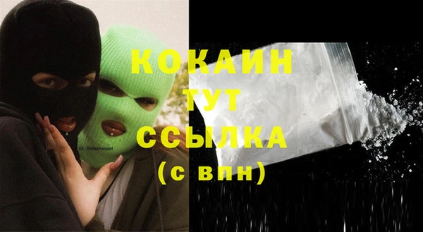 прущие грибы Костерёво