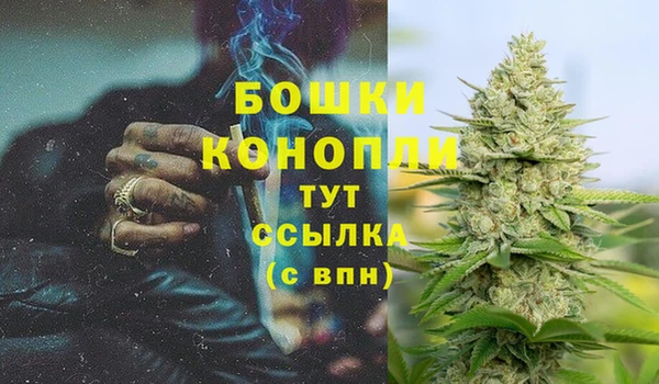 мяу мяу мука Коряжма