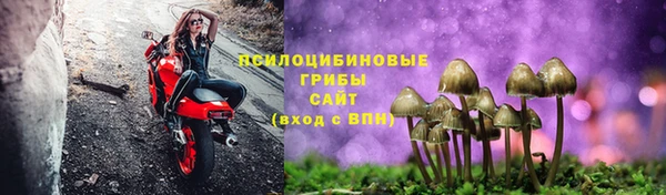 мяу мяу мука Коряжма