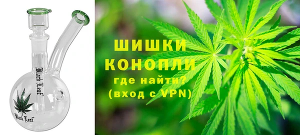 прущие грибы Костерёво