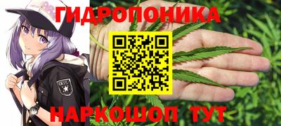 гашиш Заводоуковск