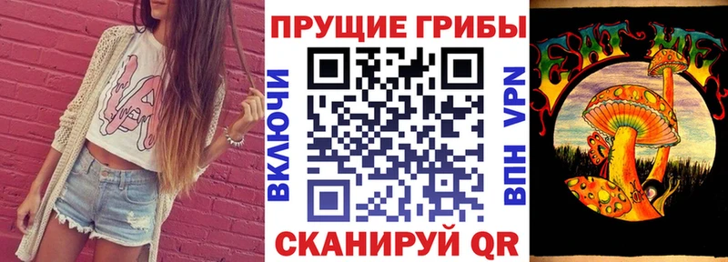 Псилоцибиновые грибы MAGIC MUSHROOMS  закладки  Кудымкар 