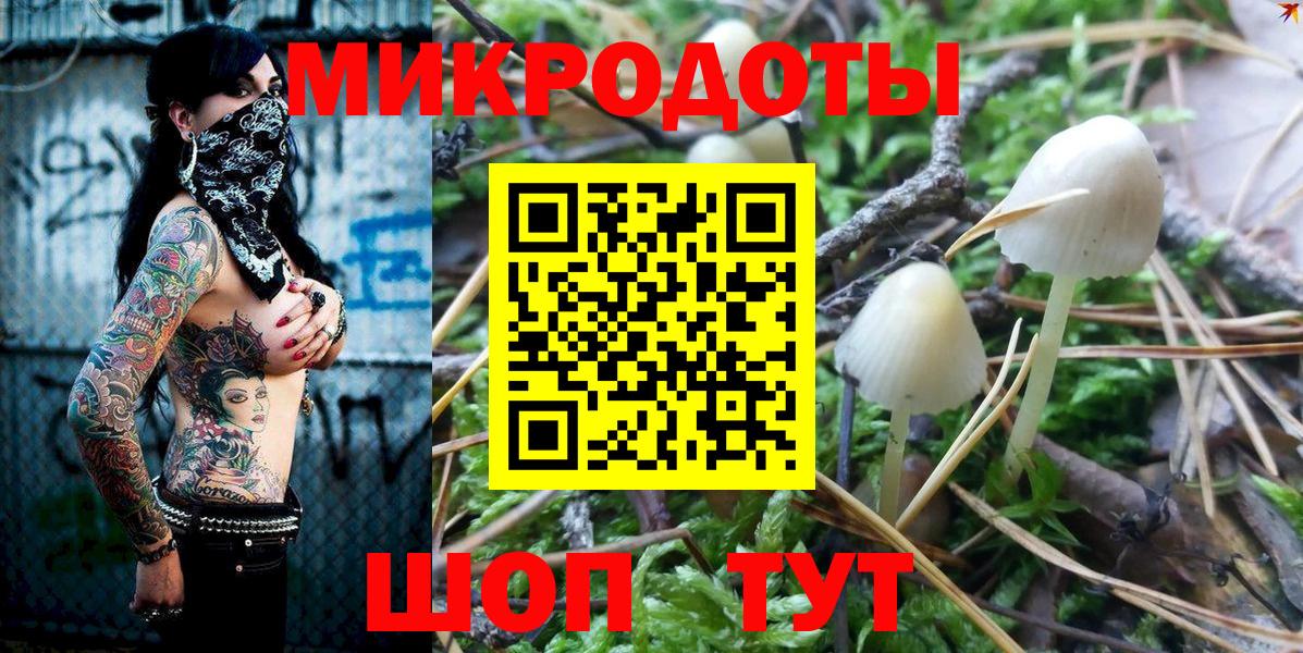 Галлюциногенные грибы Cubensis  Вход с VPN  Кудымкар 